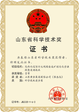 山東省科學(xué)技術(shù)獎